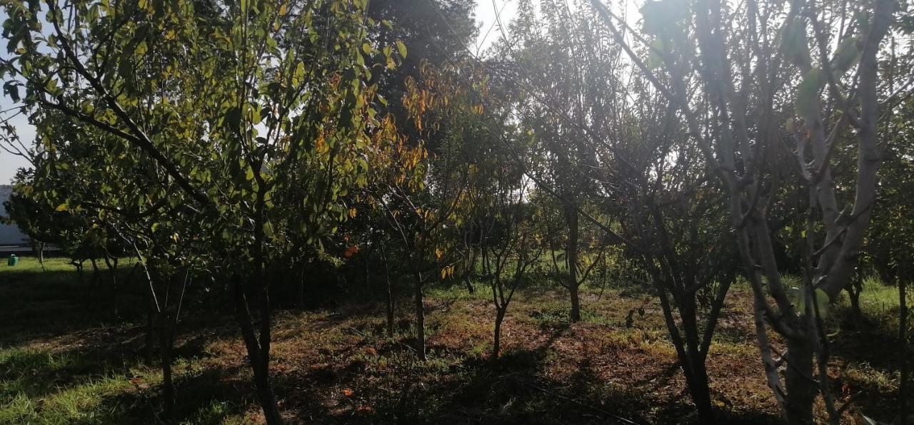 Ferme Sacree Nature Villa Ben Slimane Exterior photo